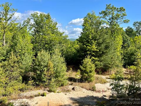 Forest Park 3a Road #3A, Pisgah Forest, NC 28768