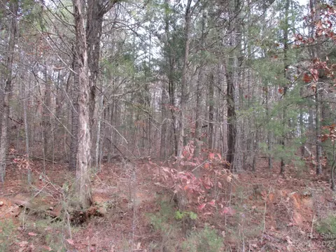 0000 Richardson Rd, Lancaster, SC 29720 photo 3