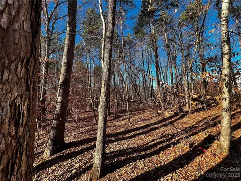 130 Copper Pine 1 Ln #1, Davidson, NC 28036 photo 4