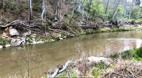 51 49 Acres Wilderness Ln, Stony Point, NC 28678