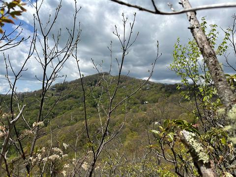 0000 Laurel Ridge Rd, Waynesville, NC 28786