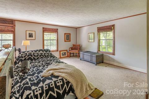 2222 Roaring Fork Rd, Mars Hill, NC 28754 photo 13