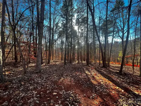 157 Copper Pine 7 Ln #7, Davidson, NC 28036 photo 4