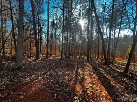 157 Copper Pine 7 Ln #7, Davidson, NC 28036 photo 3