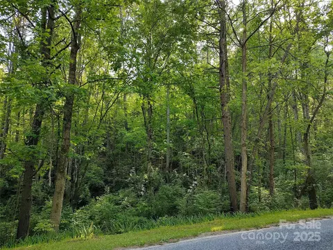0000 Lindsey Loop Rd, Fletcher, NC 28732 photo 13