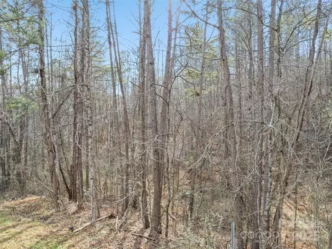 0000 Lindsey Loop Rd, Fletcher, NC 28732 photo 8