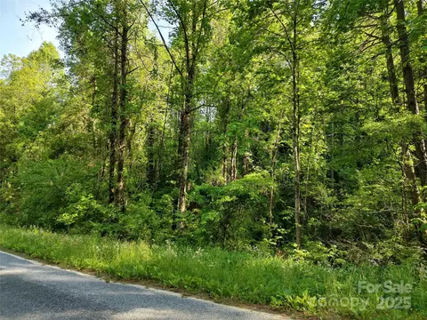 0000 Lindsey Loop Rd, Fletcher, NC 28732 photo 12
