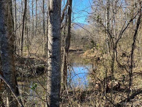 999 Medicine Mine Road, Columbus, NC 28722