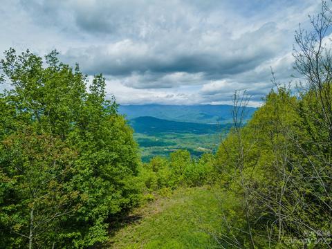 99999 Wolf Pen Cliffs 934 Rd #934, Old Fort, NC 28762