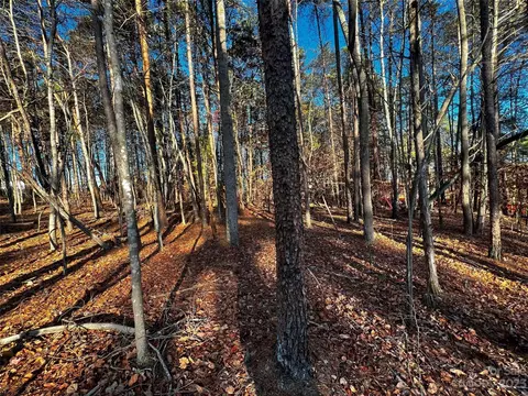 129 Hunt Camp 15 Trl #15, Davidson, NC 28036 photo 3