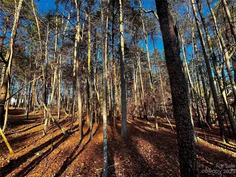 129 Hunt Camp 15 Trl #15, Davidson, NC 28036 photo 4