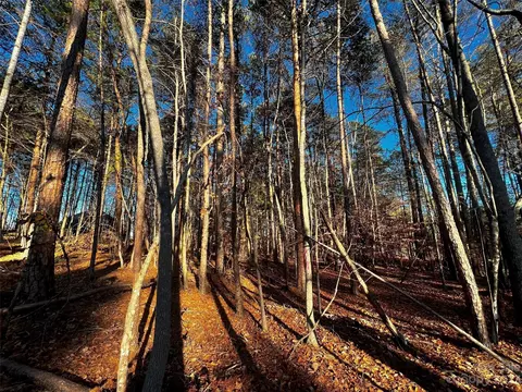 129 Hunt Camp 15 Trl #15, Davidson, NC 28036 photo 2