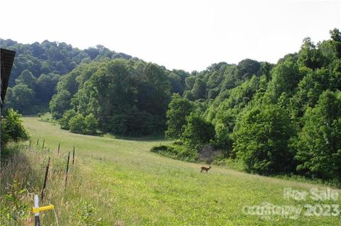 1842 S Fork Rd, Marshall, NC 28753 photo 7