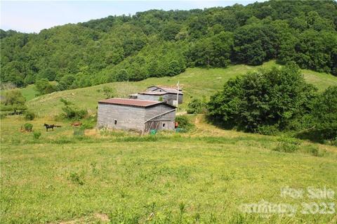 1842 S Fork Rd, Marshall, NC 28753 photo 6