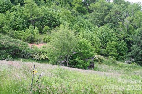 1842 S Fork Rd, Marshall, NC 28753 photo 17