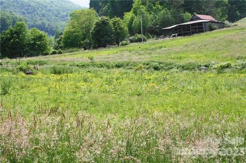 1842 S Fork Rd, Marshall, NC 28753 photo 16