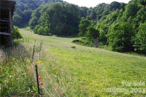 1842 S Fork Rd, Marshall, NC 28753