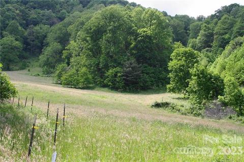 1842 S Fork Rd, Marshall, NC 28753 photo 18