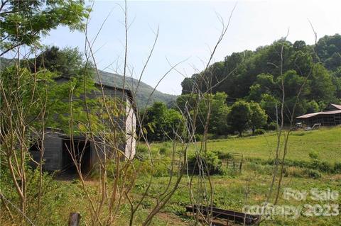 1842 S Fork Rd, Marshall, NC 28753 photo 12