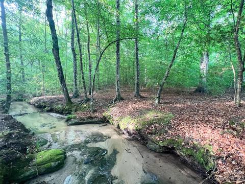000 Rocky Springs Rd, Taylorsville, NC 28681