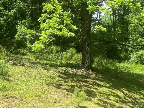 1110 Probart St, Brevard, NC 28712 photo 11