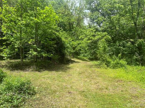 1110 Probart St, Brevard, NC 28712 photo 14