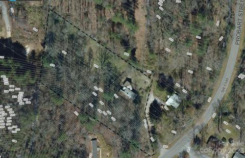 1110 Probart St, Brevard, NC 28712 photo 3