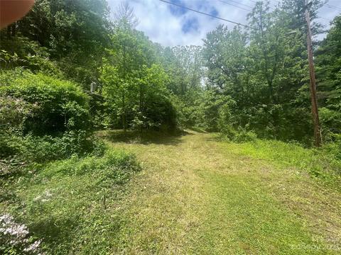 1110 Probart St, Brevard, NC 28712 photo 13