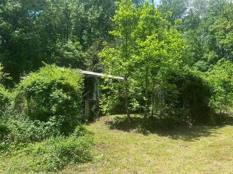 1110 Probart St, Brevard, NC 28712 photo 15