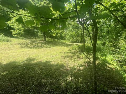 1110 Probart St, Brevard, NC 28712 photo 5