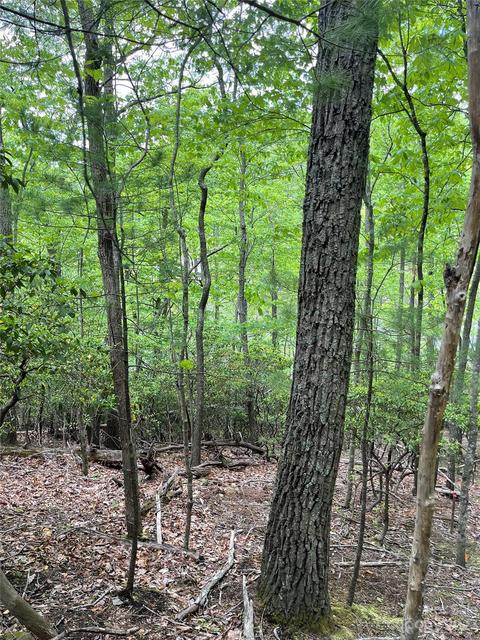 65 Hawk Ridge Road #65, Deep Gap, NC 28618 photo 3