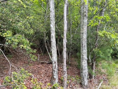 65 Hawk Ridge Road #65, Deep Gap, NC 28618 photo 6