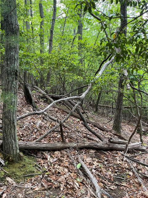 65 Hawk Ridge Road #65, Deep Gap, NC 28618 photo 5