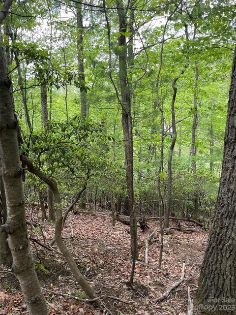 65 Hawk Ridge Road #65, Deep Gap, NC 28618 photo 4