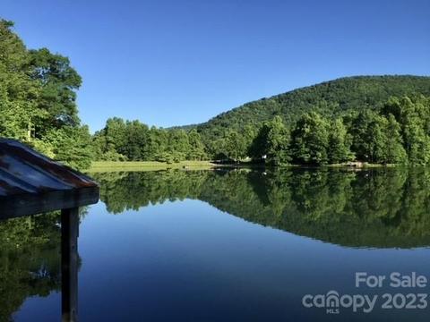 75 Echo Lake Dr, Fairview, NC 28730 photo 47