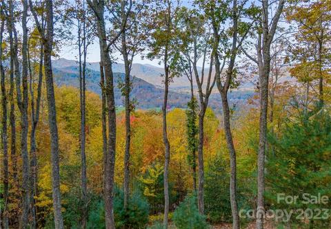 9 Deer Grass Ct, Arden, NC 28704