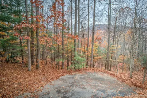 99999 Fern Cove 8 Ln #8, Gerton, NC 28735