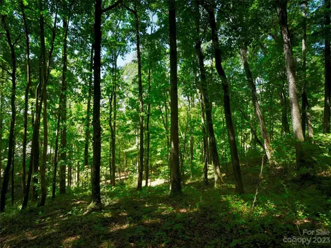 841 Blackthorne 33 Ln #33, Arden, NC 28704