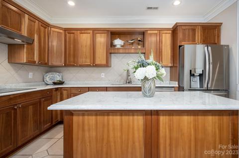 238 Twain Ave, Davidson, NC 28036 photo 17
