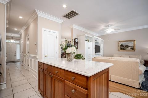 238 Twain Ave, Davidson, NC 28036 photo 24