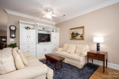 238 Twain Ave, Davidson, NC 28036 photo 11