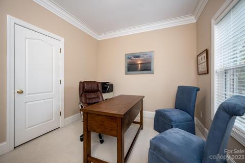238 Twain Ave, Davidson, NC 28036 photo 31