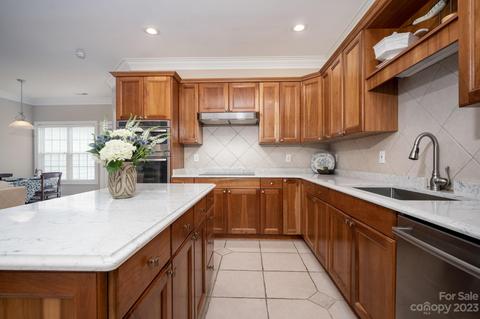 238 Twain Ave, Davidson, NC 28036 photo 18