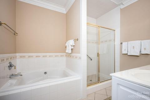 238 Twain Ave, Davidson, NC 28036 photo 22