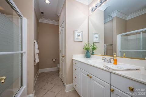 238 Twain Ave, Davidson, NC 28036 photo 29