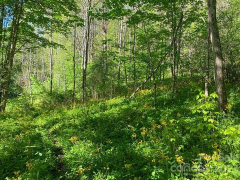 Tbd Stonegate Lane, Creston, NC 28615 photo 13