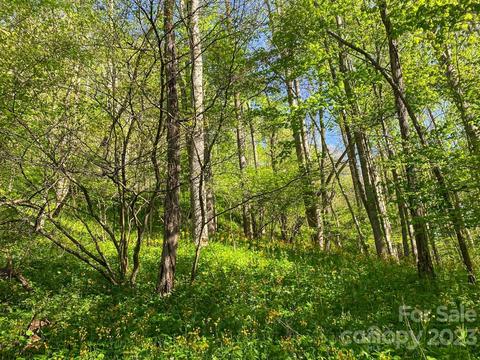 Tbd Stonegate Lane, Creston, NC 28615 photo 11