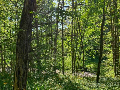 Tbd Stonegate Lane, Creston, NC 28615 photo 10