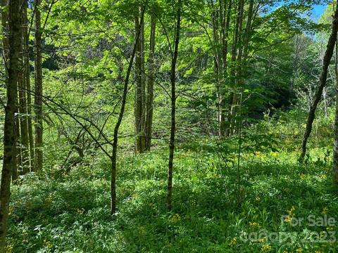 Tbd Stonegate Lane, Creston, NC 28615 photo 8