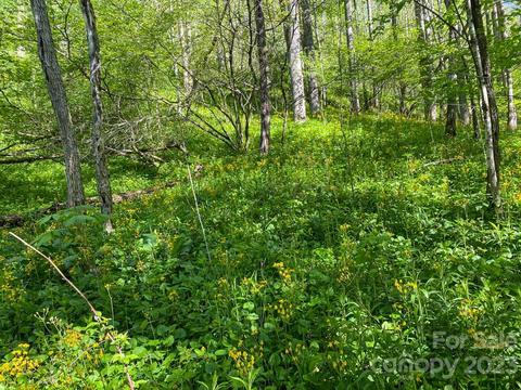 Tbd Stonegate Lane, Creston, NC 28615 photo 9
